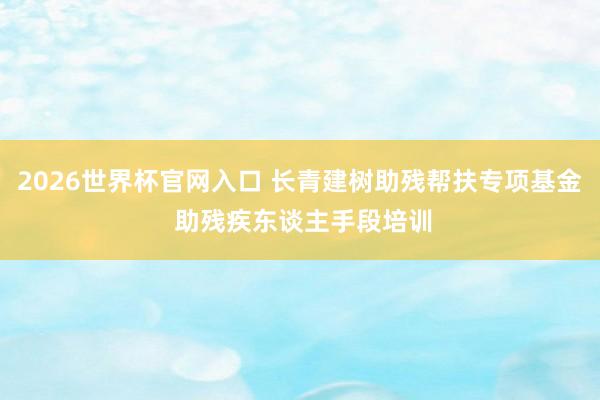 2026世界杯官网入口 长青建树助残帮扶专项基金 助残疾东谈主手段培训