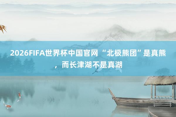 2026FIFA世界杯中国官网 “北极熊团”是真熊，而长津湖不是真湖