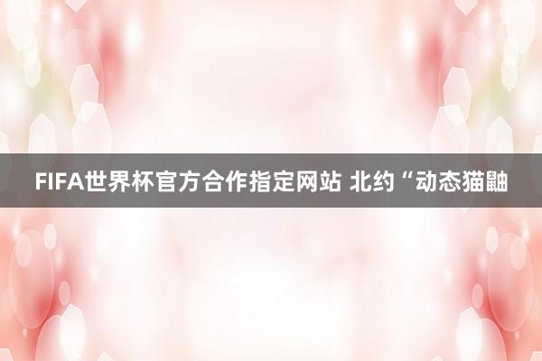 FIFA世界杯官方合作指定网站 北约“动态猫鼬