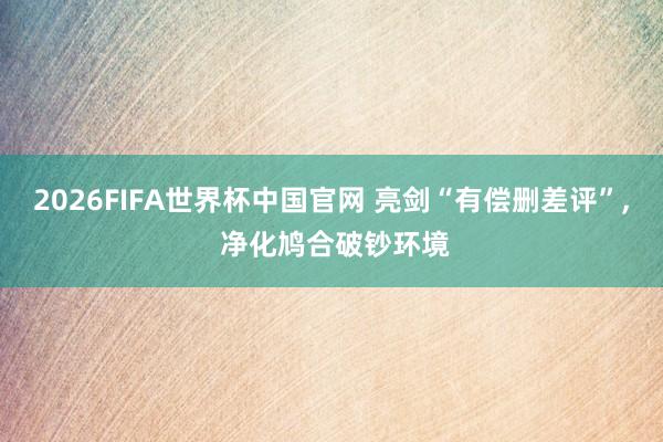 2026FIFA世界杯中国官网 亮剑“有偿删差评”， 净化鸠合破钞环境