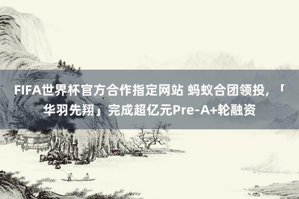 FIFA世界杯官方合作指定网站 蚂蚁合团领投， 「华羽先翔」完成超亿元Pre-A+轮融资