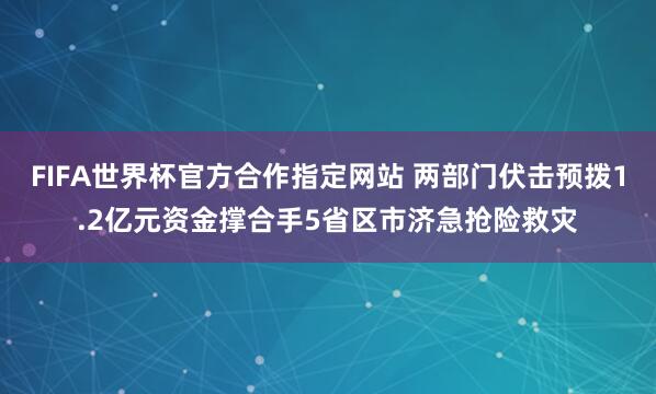 FIFA世界杯官方合作指定网站 两部门伏击预拨1.2亿元资金撑合手5省区市济急抢险救灾
