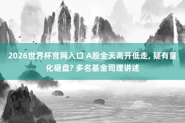 2026世界杯官网入口 A股全天高开低走， 疑有量化砸盘? 多名基金司理讲述