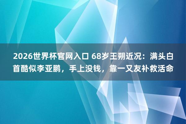 2026世界杯官网入口 68岁王朔近况：满头白首酷似李亚鹏，手上没钱，靠一又友补救活命