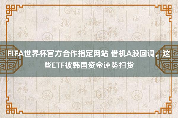FIFA世界杯官方合作指定网站 借机A股回调，这些ETF被韩国资金逆势扫货