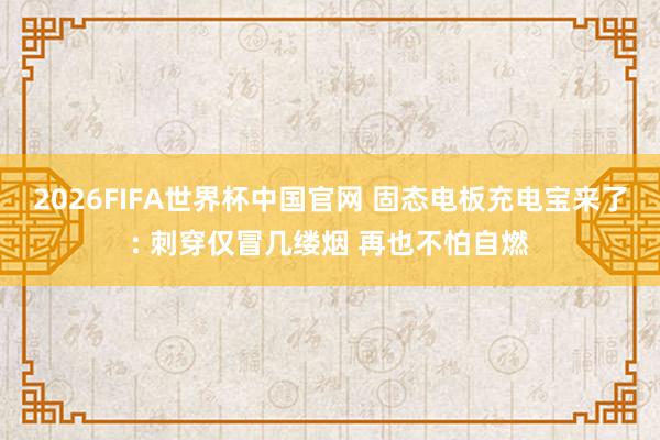 2026FIFA世界杯中国官网 固态电板充电宝来了: 刺穿仅冒几缕烟 再也不怕自燃