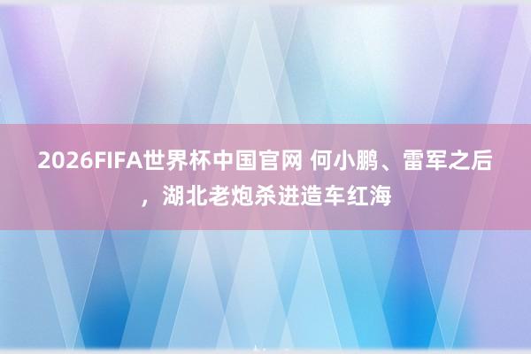 2026FIFA世界杯中国官网 何小鹏、雷军之后，湖北老炮杀进造车红海