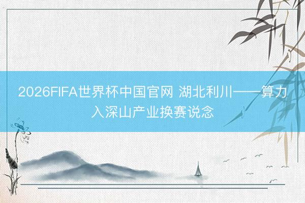 2026FIFA世界杯中国官网 湖北利川——算力入深山产业换赛说念